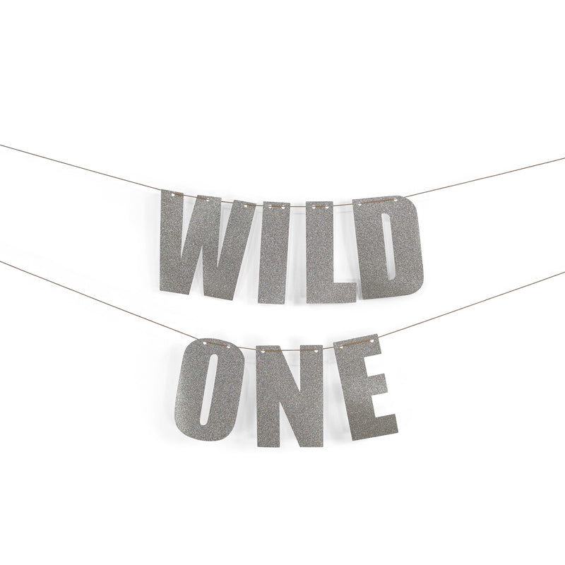 Silver "WILD ONE" Glitter Banner, Banners & Backdrops, Jamboree 