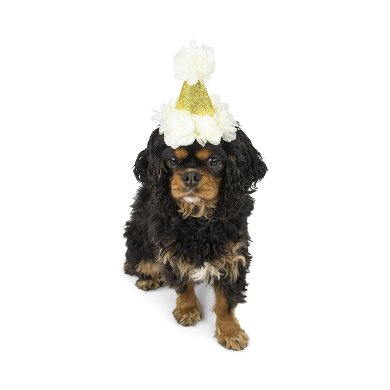 Cream Mini First Birthday Photoshoot Hat, Party Hats & Sashes, Jamboree 