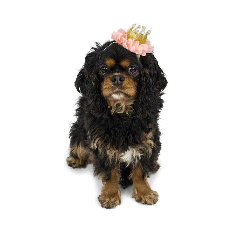 Pink Mini First Birthday Photoshoot Crown, Party Hats & Sashes, Jamboree 