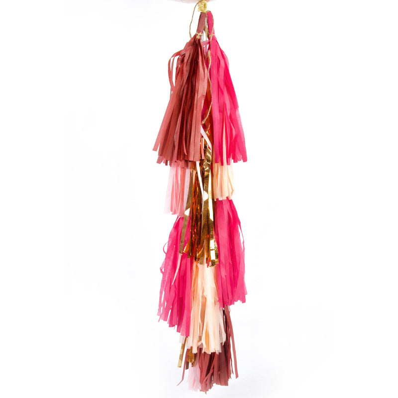 Perfectly Pink Fringe Tassel Garland Kit or Fully Assembled – Wants and  Wishes